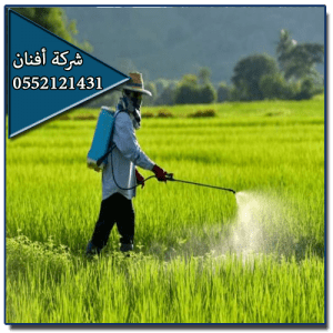 شركة رش مبيدات شمال الرياض