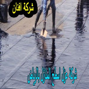 شركات عزل اسطح فى الرياض