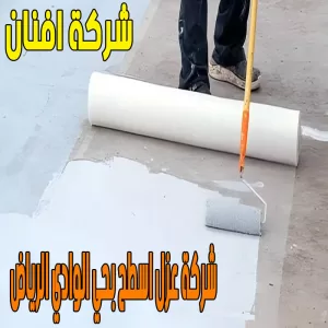 شركة عزل اسطح بحي الوادي الرياض