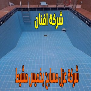 شركة عزل مسابح فى خميس مشيط